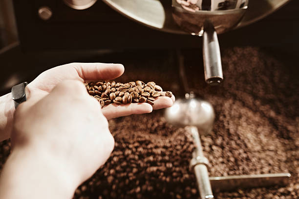 istock Barista holding freshly roasted coffee beans in hands 2217229927
