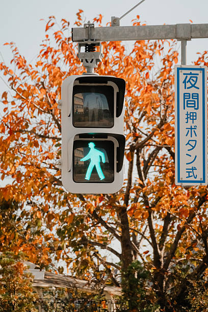 apanese Pedestrian Traffic Light with Leaves in Background