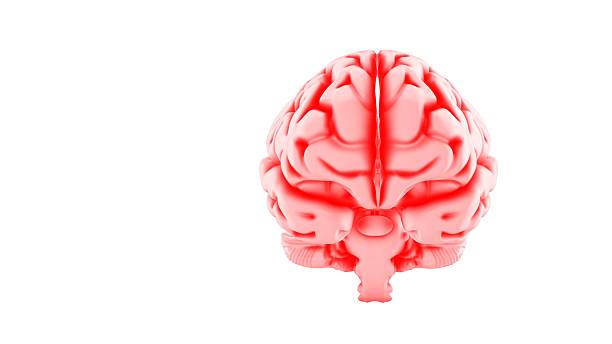 istock Abstract Colorful Brain Depicting Mental Energy 2217236973