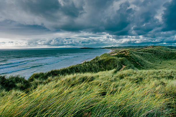 A dramatic coastal scene featuring wind-swept grass-covered dunes along the shoreline, with dark storm clouds rolling in over the ocean. Captured in natural light, this moody landscape conveys a sense of raw nature, solitude, and changing weather.