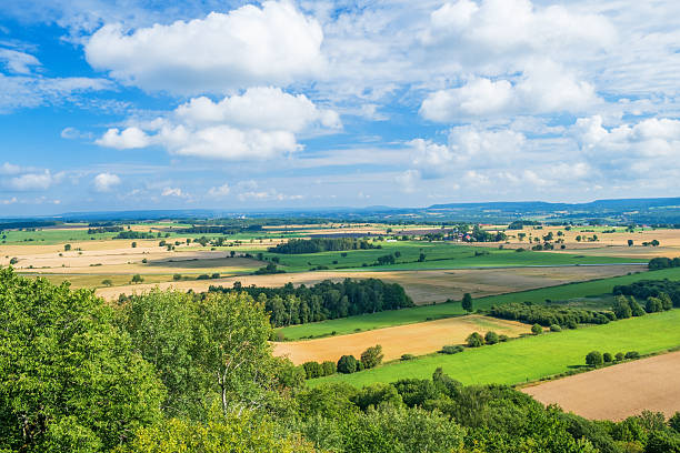 istock Agriculture landscape view with the horizon 2217241523
