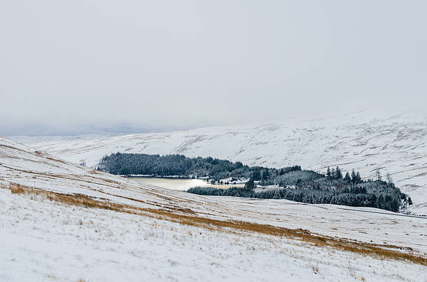 istock Snowy Highland Valley with Forested Hills 2217242505