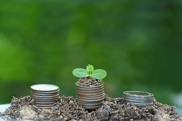 Concept of financial growth and sustainability.
