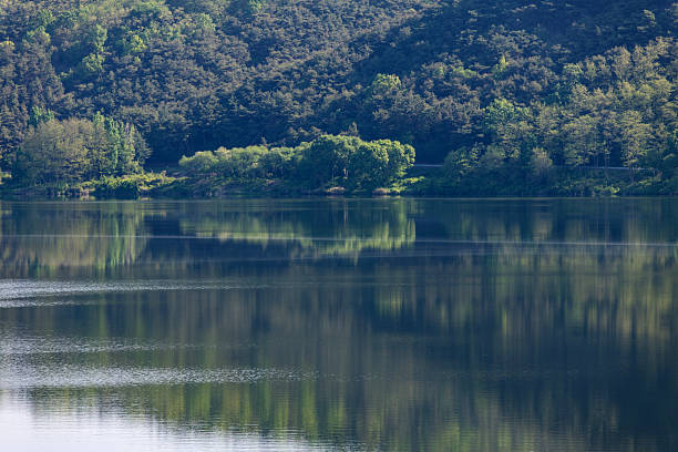 tranquil landscape