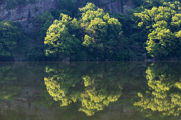 tranquil landscape