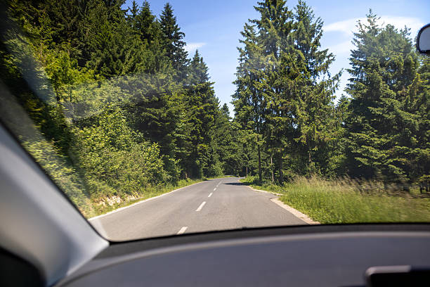Point-of-view image from inside a car traveling along a curving rural road bordered by dense green forest and tall pine trees under a bright blue sky. The scene captures the peacefulness and adventure of a scenic drive through nature, ideal for illustrating travel, exploration, and the beauty of the countryside.
