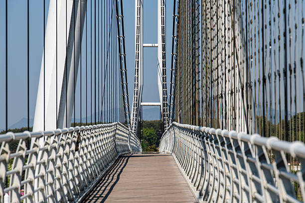 istock suspension bridge on the lake 2217249511