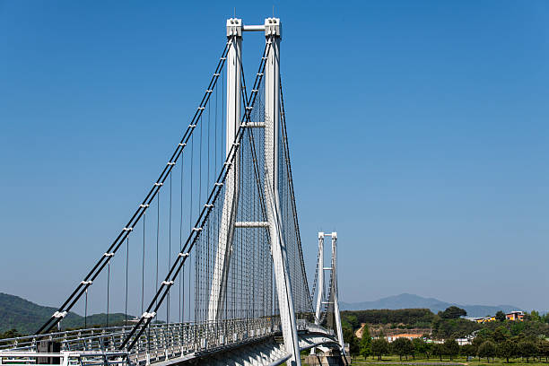 istock suspension bridge on the lake 2217249927