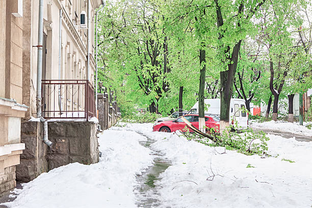 Urban winter scene with sidewalk blanketed in snow