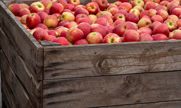 istock Red apples ready for sale 2217252288