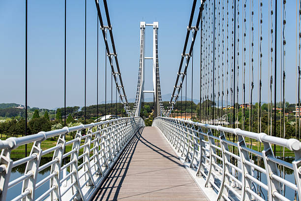 istock suspension bridge on the lake 2217253528