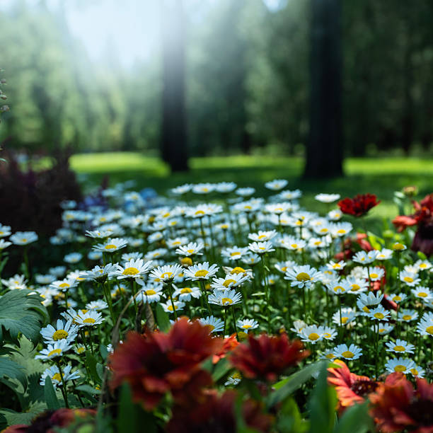 Flowers and trees in the spring garden