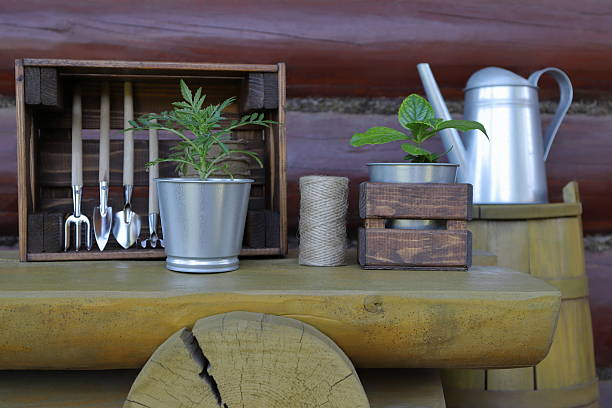istock Gardening tools and pots with flower plants. 2217254268