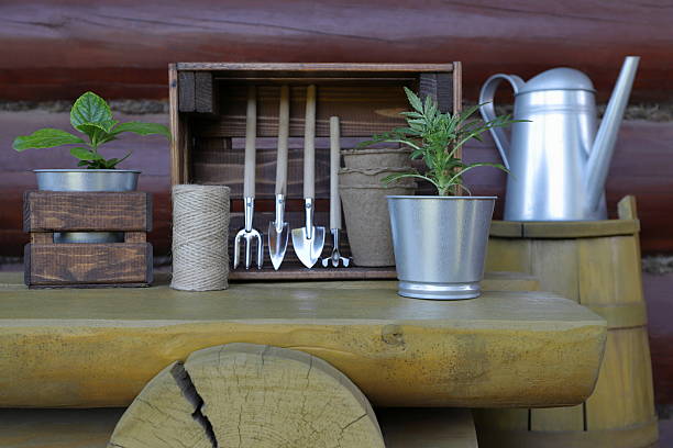 istock Gardening tools and pots with flower plants. 2217254274