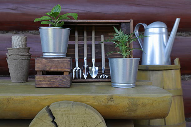 istock Gardening tools and pots with flower plants. 2217254281