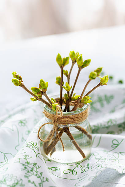 istock Spring branches with green buds in glass jar on soft textile background 2217254669