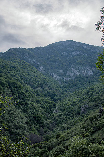 istock beautiful mountains in summer 2217262567