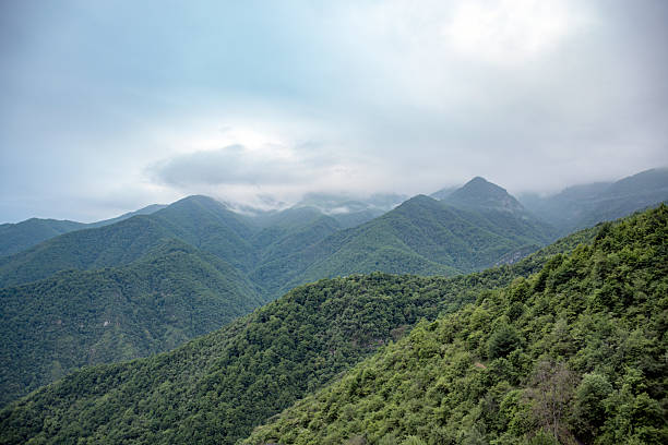 istock beautiful mountains in summer 2217264908