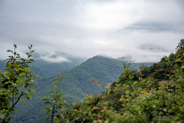 beautiful mountains in summer