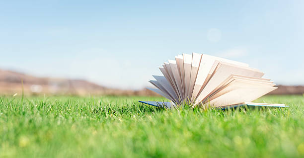 istock Open book on green grass in a field background 2217268753