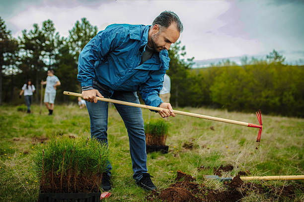 istock Male ecologist digging the ground while planting coniferous trees 2217274097