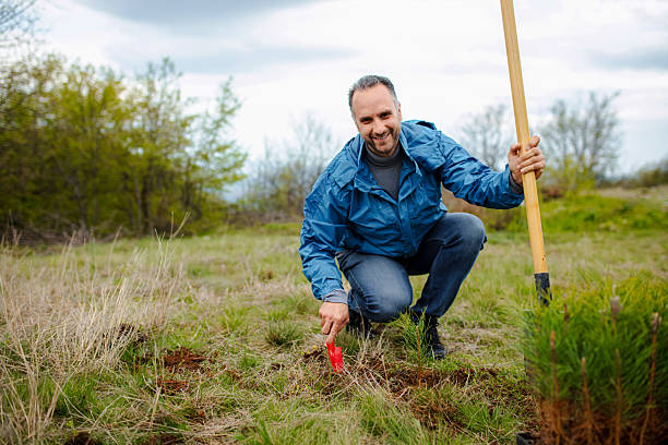 istock Male ecologist digging the ground while planting coniferous trees 2217274180
