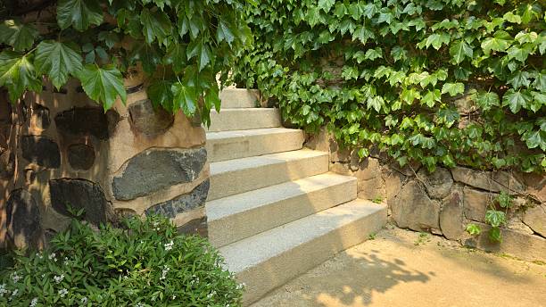 istock Stone steps leading through a vine-covered garden wall in warm natural light. 2217274402