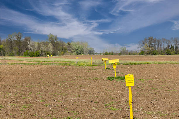 istock A wide rural field with multiple yellow gas pipeline warning signs 2217276485