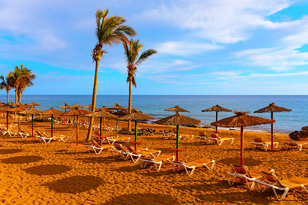 istock Sunny beach beach chairs and thatched umbrellas 2217277046