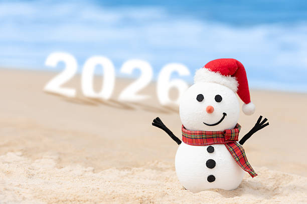 istock Celebrating 2026 on the beach with a snowman 2217277090