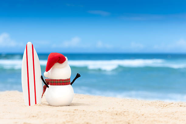 istock Snowman with surfboard watching the waves 2217277118