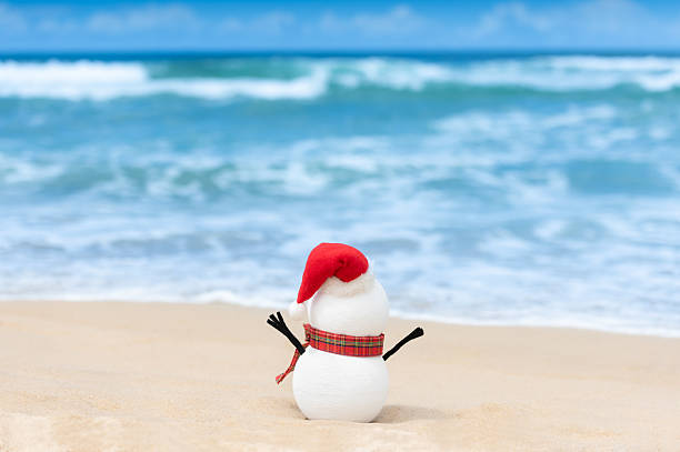 istock Snowman on beach gazing at waves 2217277120