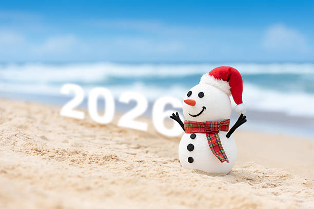 istock Celebrating 2026 on the beach with a snowman 2217277178
