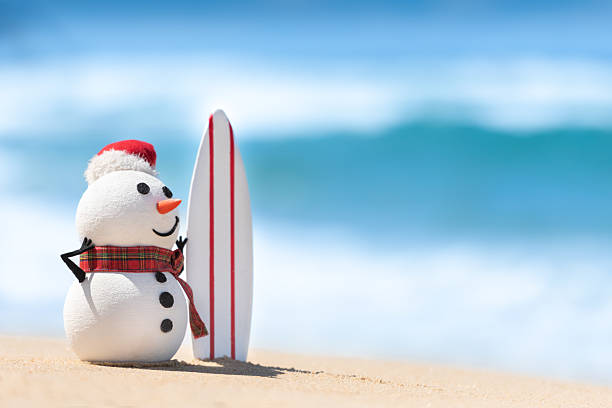 istock Snowman enjoying the seaside scene 2217277318