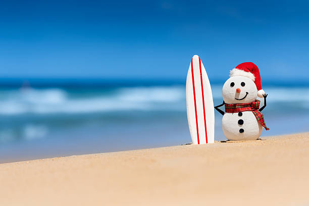istock Snowman with surfboard watching the waves 2217277344