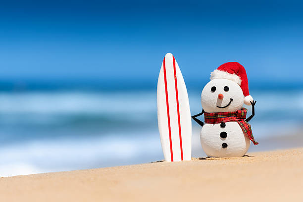 istock Snowman with surfboard watching the waves 2217277407