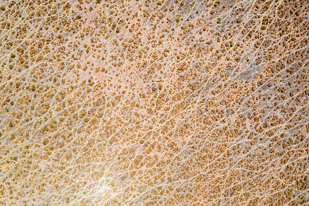 istock Aerial View from a dry pasture 2217285403