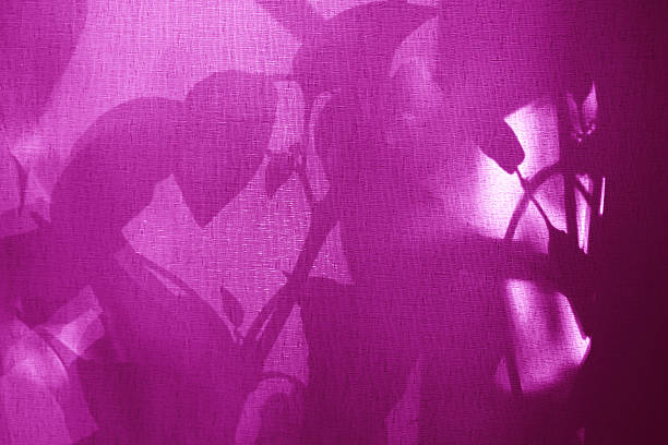 Light and shadows of flowers, floral pattern. Vintage textile background. Abstract backdrop with crossed lines shadows. Wabi sabi style aestetics. Bright purple.  Atmospheric mood, cozy patio at home