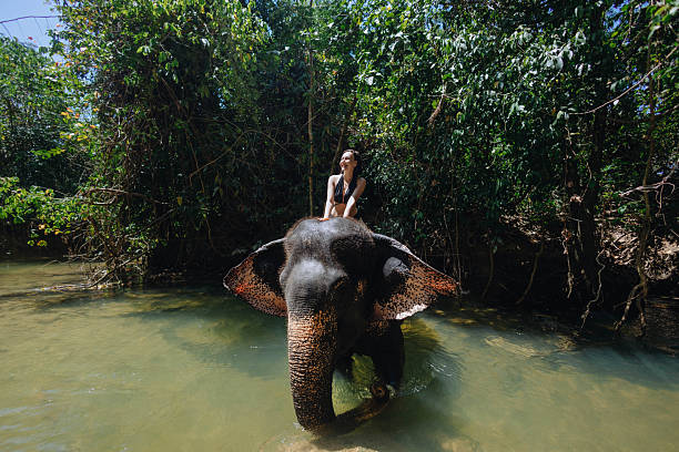 istock woman enjoys a unique experience riding an elephant while splashing in a clear river. vibrant scene is enhanced by the surrounding lush trees and sunny weather 2217290101