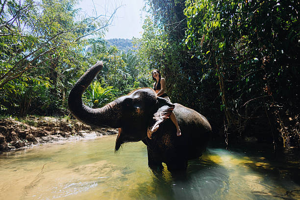 istock girl enjoys a unique experience as she rides an elephant bathing in a clear river surrounded by lush tropical vegetation 2217290103