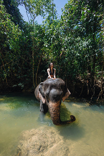 istock In a tranquil river surrounded by lush greenery, a person enjoys a close encounter with an elephant. Sunlight filters through the trees, highlighting the beautiful scene 2217290120