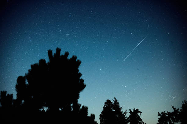 istock Milky Way stars with meteor shower trails and scountryside tree 2217290523