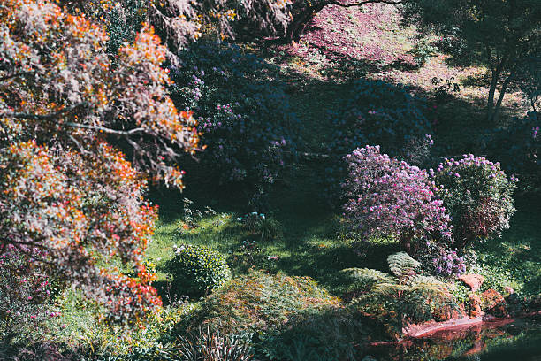 Lush botanical garden in Sintra, Portugal, featuring vibrant rhododendron bushes in bloom, colorful foliage, and soft sunlight casting dappled shadows across the peaceful landscape