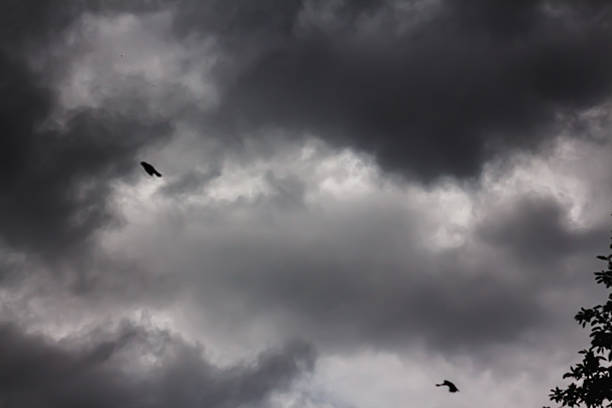 Grey rain clouds in the sky above the city