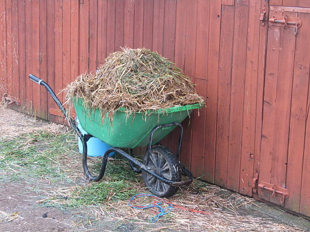 istock Wheelbarrow Full of Straw. 2217304518