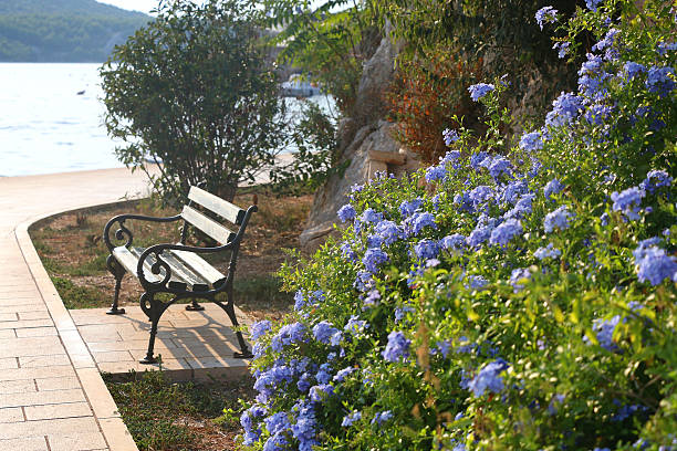 Pretty blue flowers and wooden bench by the sea. Selective focus.