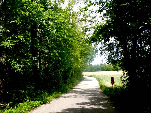 istock Country road on sunny day. 2217313604