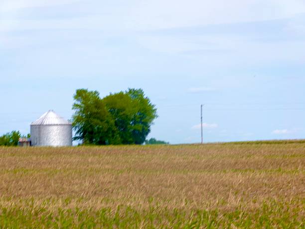 istock Silo in field with blue sky. 2217313656