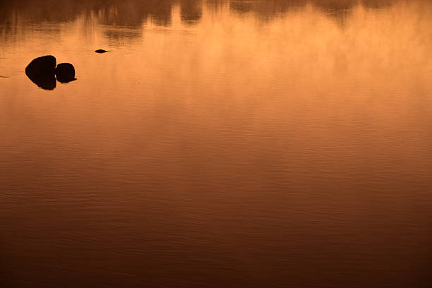 Tranquil Sunrise Over a calm South african River with Reflective Waters and Trees