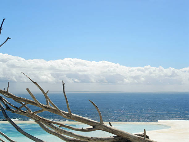 Branches used a s decorative items beside a pool in front of a seaview